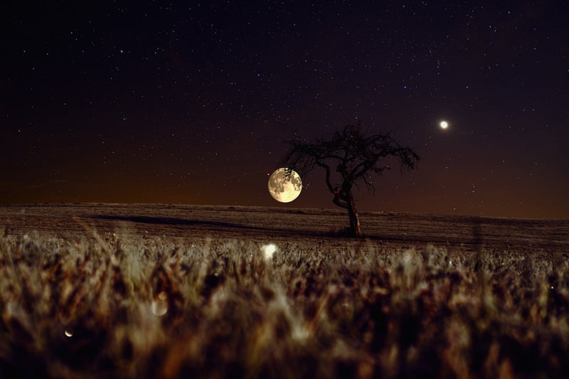 Moonlit Decor